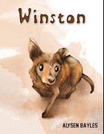 Winston