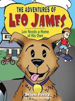 The Adventures of Leo James