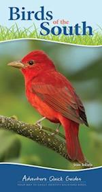 Birds of the South : Your Way to Easily Identify Backyard Birds 