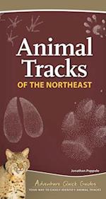 Animal Tracks of the Northeast : Your Way to Easily Identify Animal Tracks 