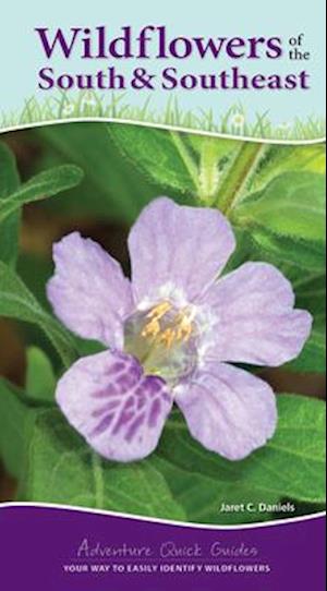 Wildflowers of the South & Southeast : Your Way to Easily Identify Wildflowers