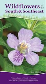 Wildflowers of the South & Southeast : Your Way to Easily Identify Wildflowers 