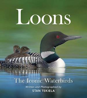 Loons : The Iconic Waterbirds