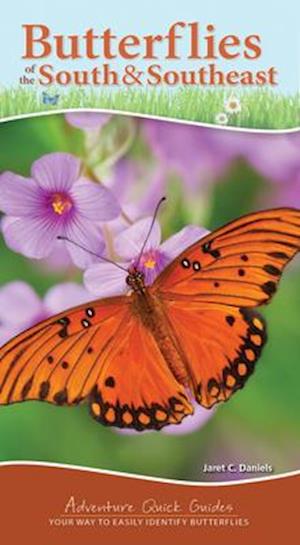 Butterflies of the South & Southeast : Your Way to Easily Identify Butterflies