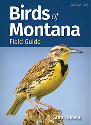 Birds of Montana Field Guide