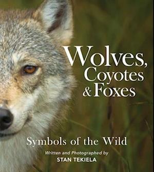 Wolves, Coyotes & Foxes