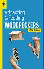 Attracting & Feeding Woodpeckers