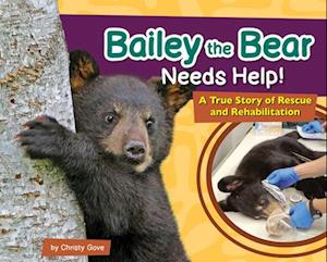 Bailey the Bear Needs Help!