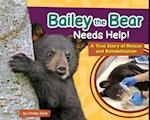 Bailey the Bear Needs Help!