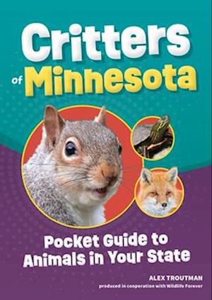 Critters of Minnesota : Pocket Guide to Animals in Your State