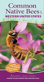 Common Native Bees of the Western United States : Your Way to Easily Identify Bees and Look-Alikes 