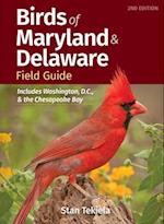 Birds of Maryland & Delaware Field Guide : Includes Washington, D.C., & the Chesapeake Bay 