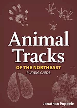 Animal Tracks of the Northeast Playing Cards