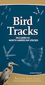 Bird Tracks : Includes 55 North American Species 
