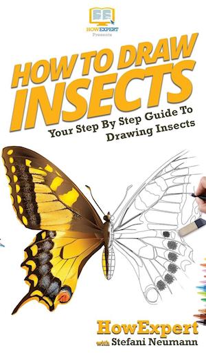 How To Draw Insects