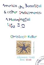 AMERICA THE BEAUTIFUL & OTHER INDICTMENTS: A MEANINGFUL LIFE 3.0 