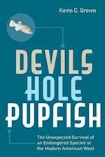 Devils Hole Pupfish