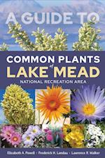Guide to Common Plants of Lake Mead National Recreation Area