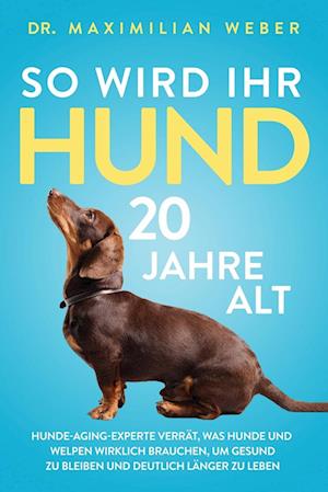 So wird Ihr Hund 20 Jahre alt