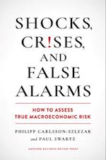 Shocks, Crises, and False Alarms