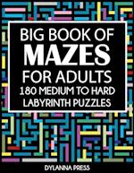 Big Book of Mazes for Adults