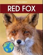 Red Fox