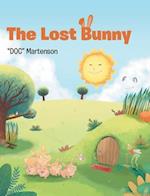 The Lost Bunny 