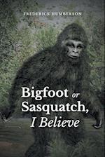 Big Foot or Sasquatch, I Believe