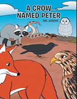 A Crow Named Peter 