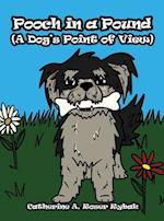 Pooch in a Pound (A Dog's Point of View)