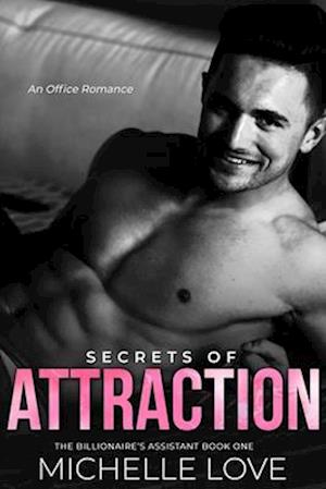 Secrets of Attraction : An Office Romance