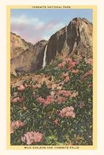 The Vintage Journal Azaleas, Yosemite, California