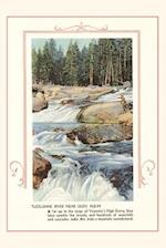 The Vintage Journal Tuolumne River, Yosemite