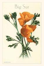 The Vintage Journal California Poppy, Big Sur