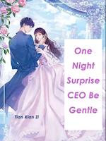 One Night Surprise: CEO, Be Gentle