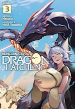 Reincarnated as a Dragon Hatchling (Light Novel) Vol. 3