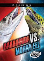 Barracuda vs. Moray Eel