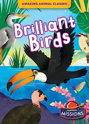 Brilliant Birds