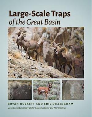 Large-Scale Traps of the Great Basin