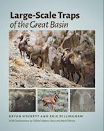Large-Scale Traps of the Great Basin