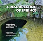 A Resurrection of Springs