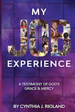 My Job Experience : A Testimony of God's Grace & Mercy 