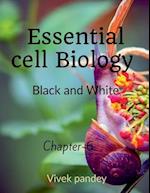 essential cell biology -6( black &white) 