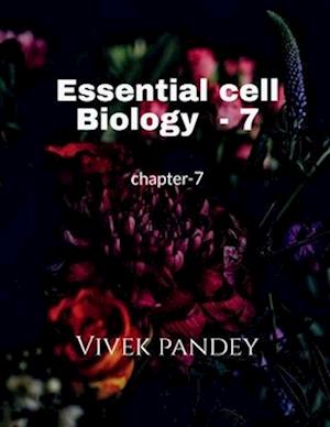 Essential cell biology-7