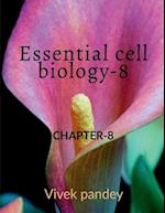 Essential cell Biology -8 