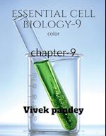 Essential cell biology-9 (COLOR)