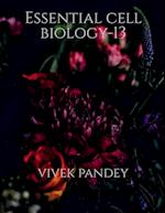 Essential cell biology-13(color) 