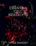 essential cell biology-16 