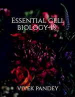 Essential cell biology-19(color) 