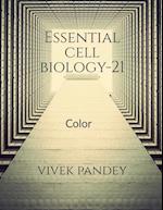 Essential cell biology-21(color) 